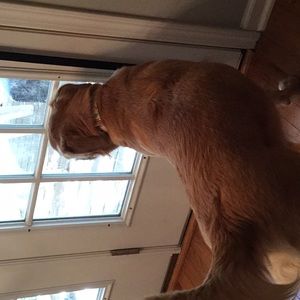 Meet your Posher, Aleli